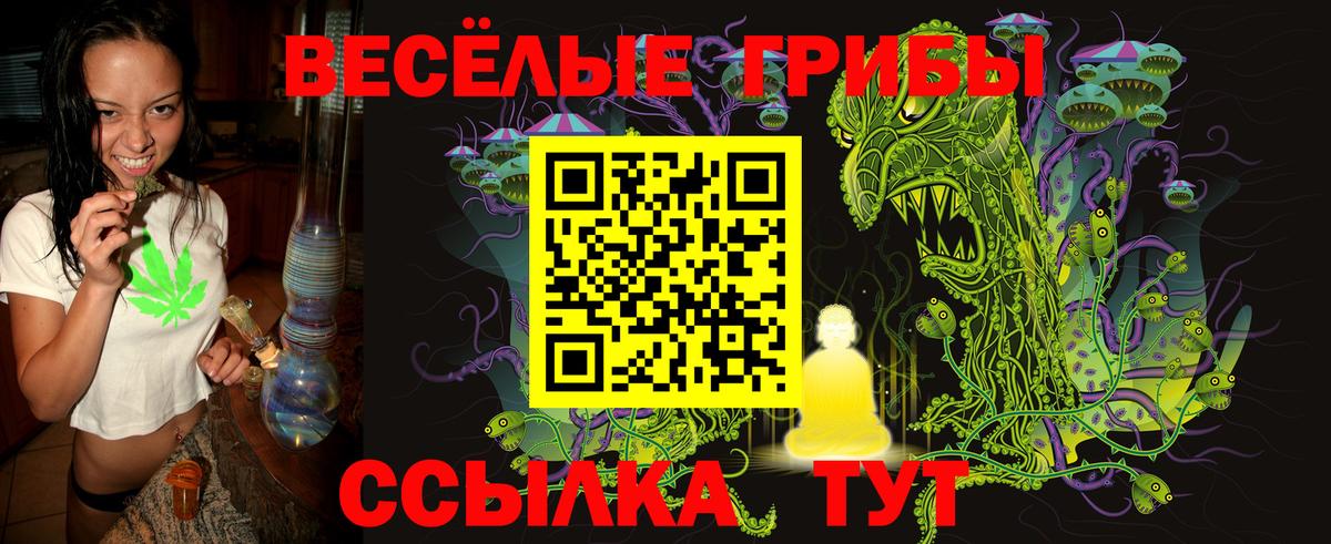 Галлюциногенные грибы Cubensis  Вход с VPN  Псилоцибиновые грибы Psilocybine cubensis  Сегежа 