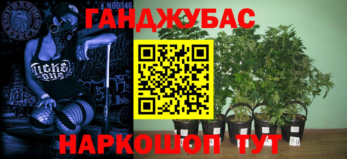 Бошки марихуана сатива  Бошки Шишки марихуана  Конопля планчик  Сегежа  Бошки марихуана LSD WEED  Вход с VPN 